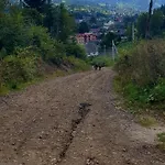 Nagori